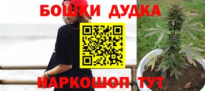 кокс Обь