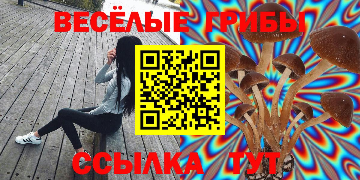 Псилоцибиновые грибы GOLDEN TEACHER Усть-Джегута